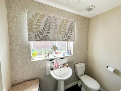 Picture 21